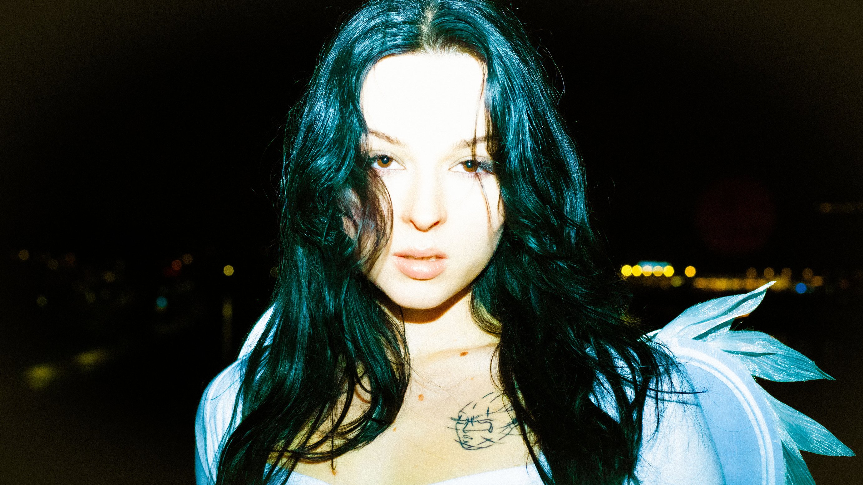 Portfolio photograph