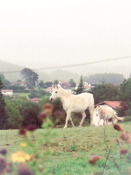 Portfolio photograph