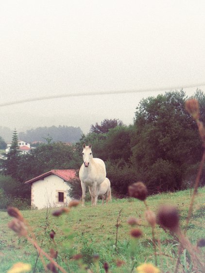 Portfolio photograph