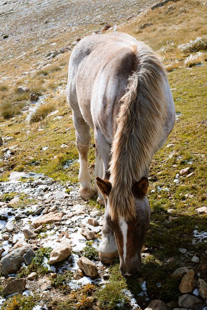 Portfolio photograph