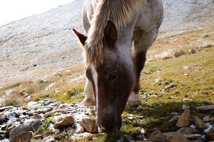Portfolio photograph