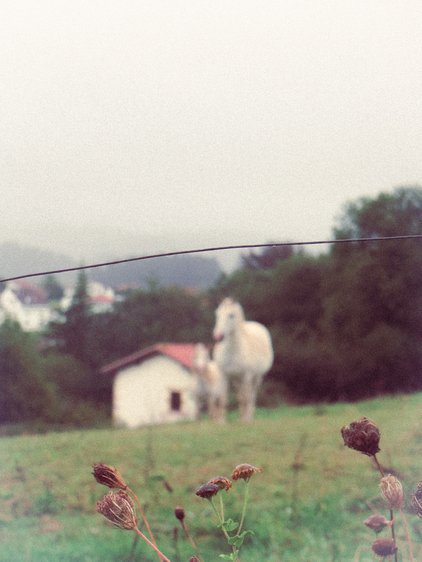 Portfolio photograph