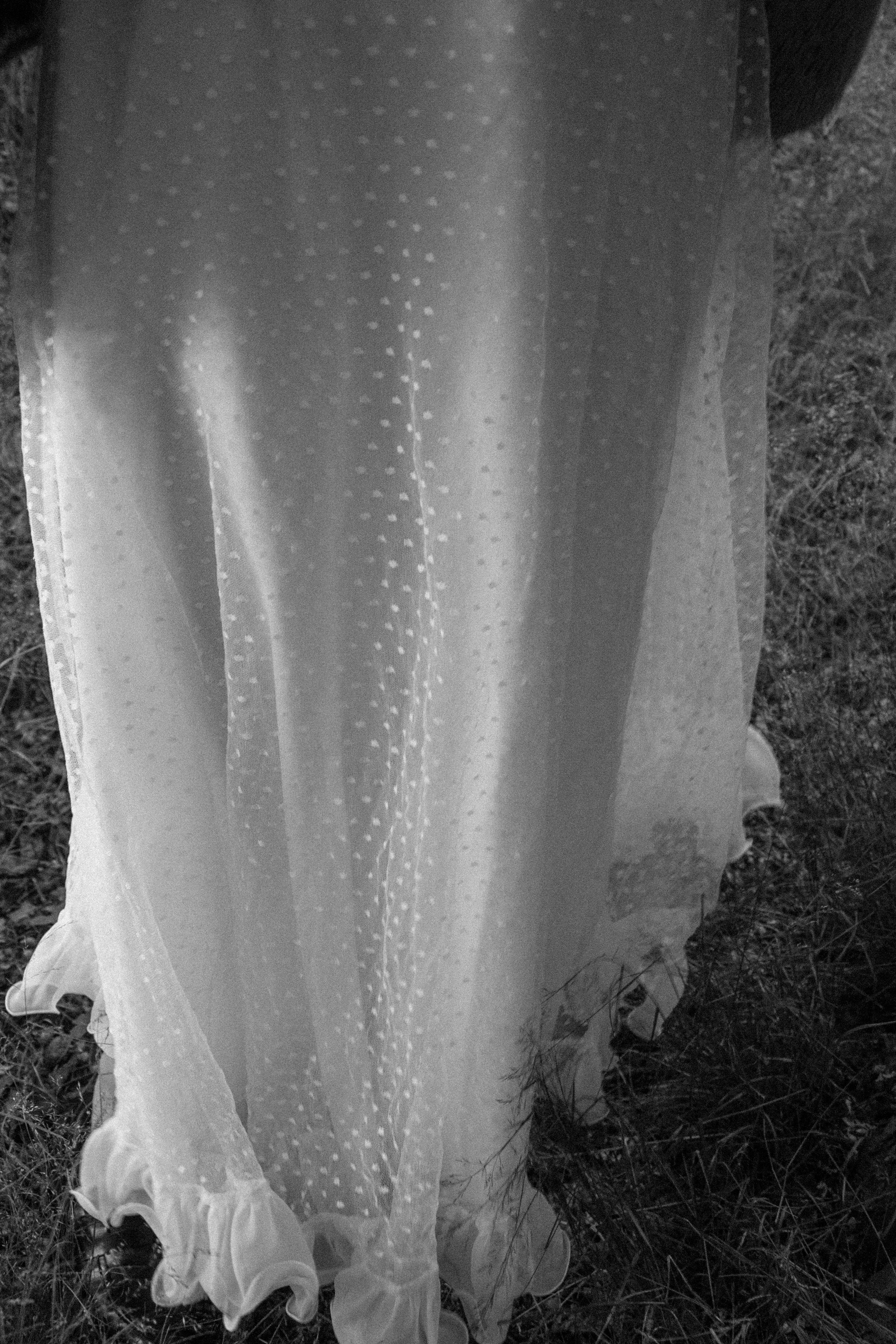 Portfolio photograph