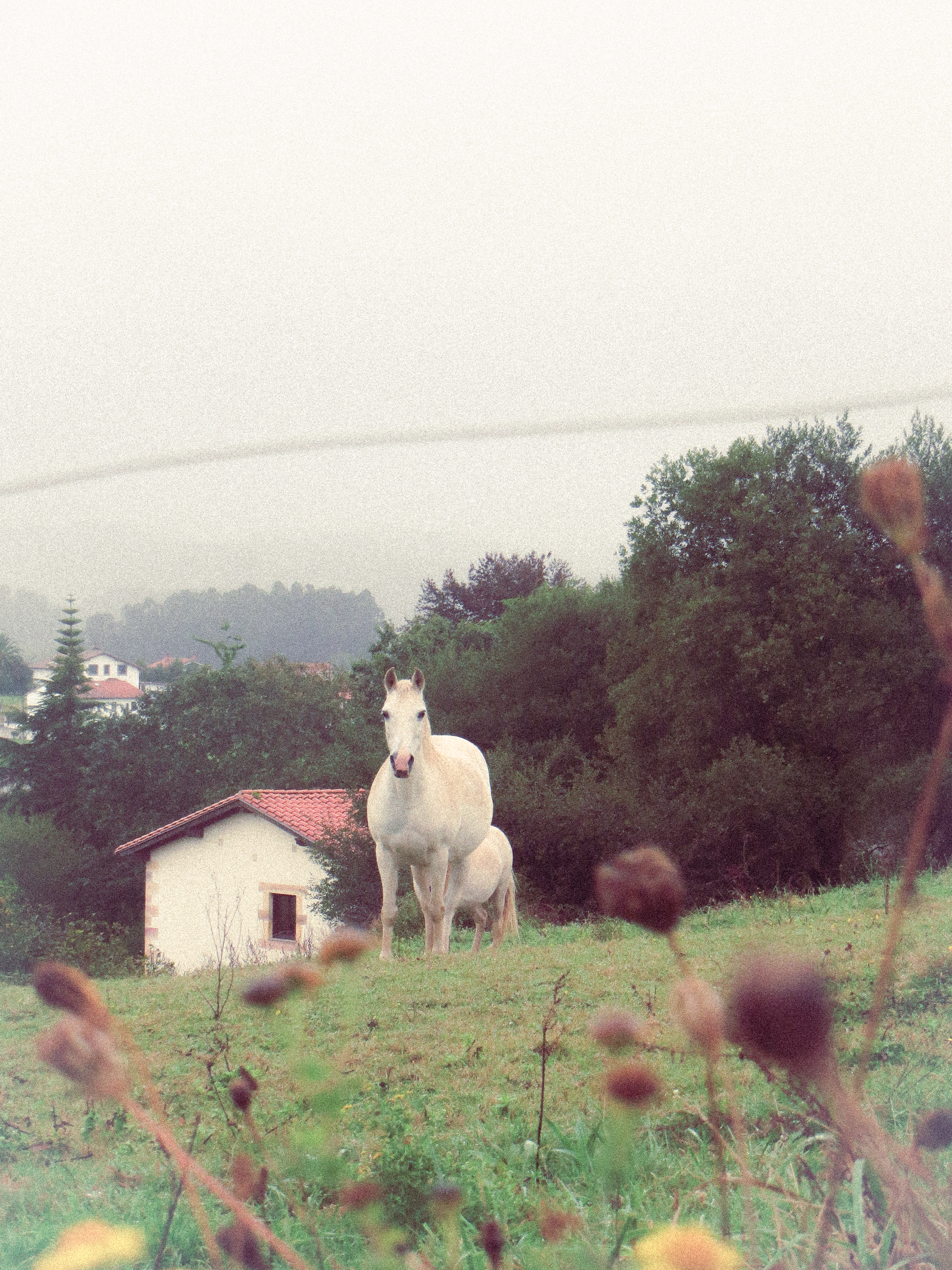 Portfolio photograph