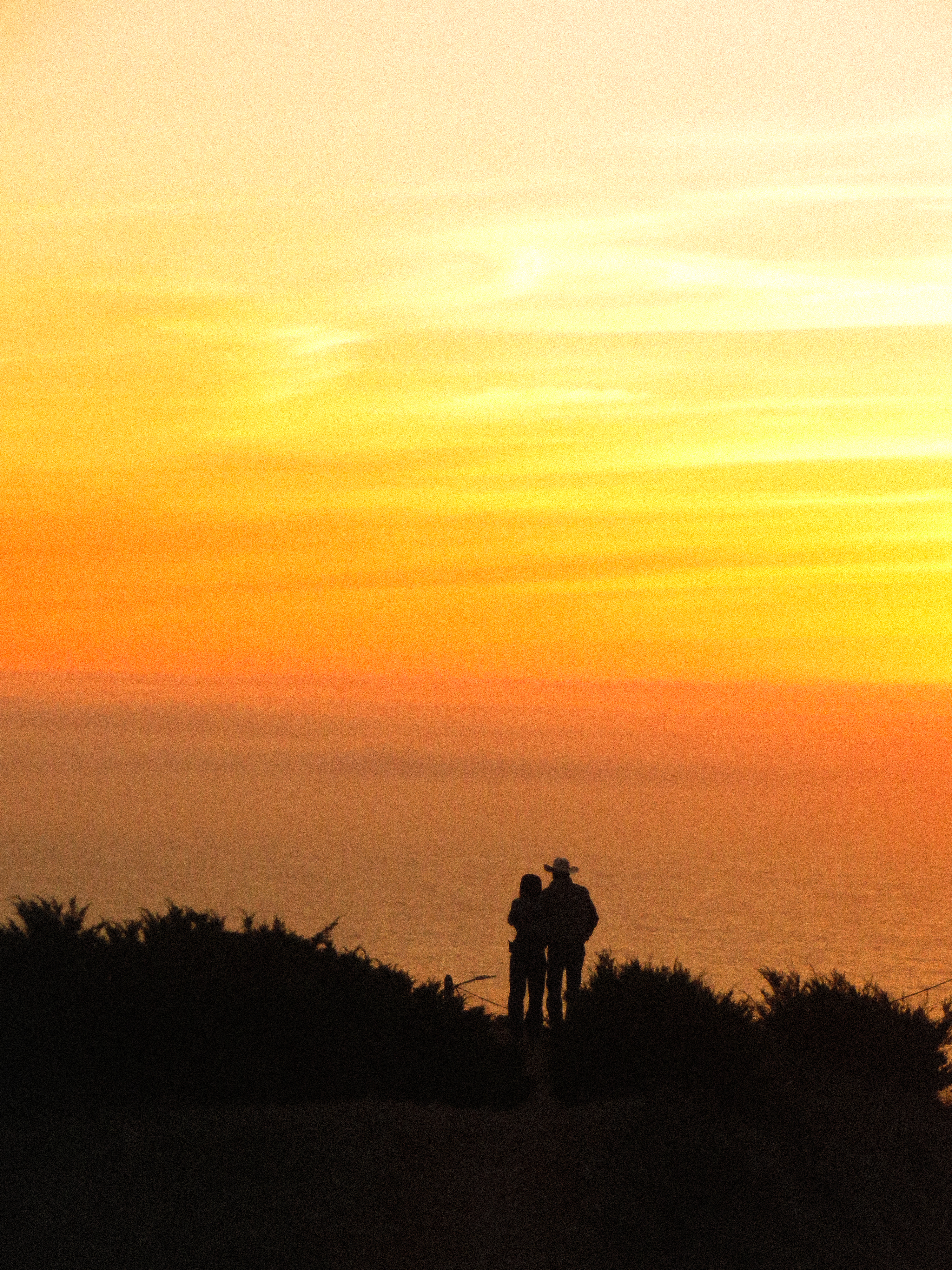 Portfolio photograph