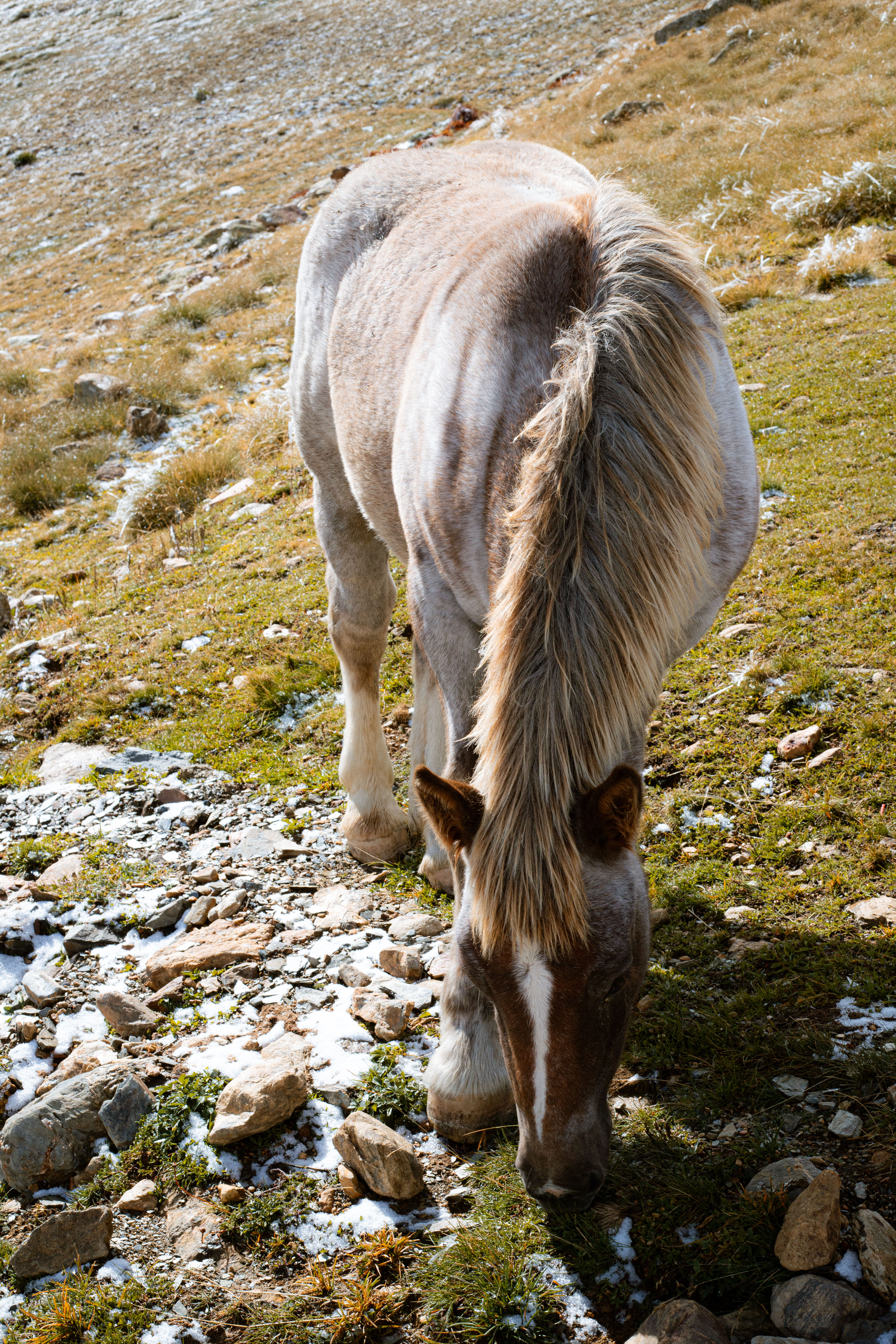 Portfolio photograph