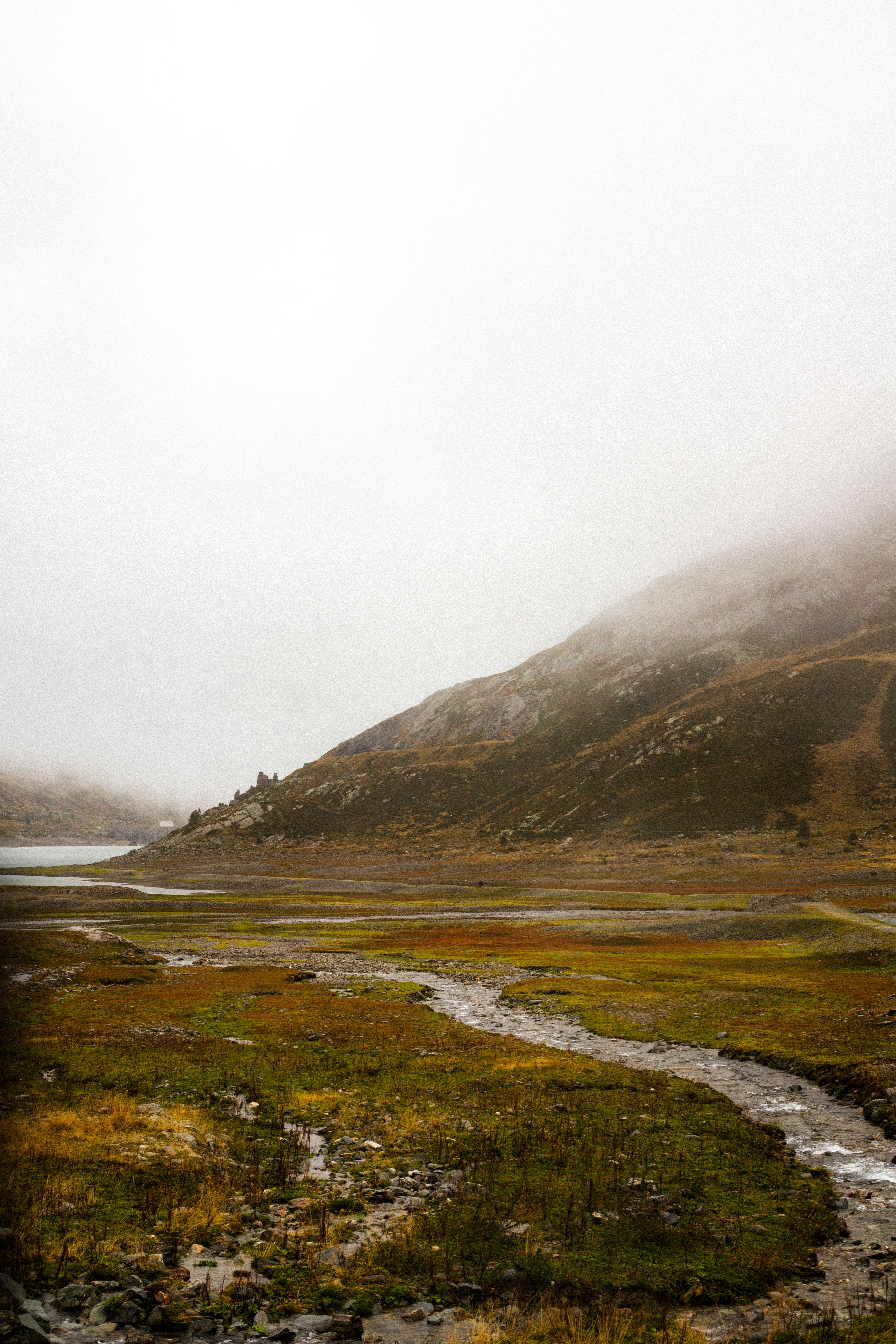 Portfolio photograph